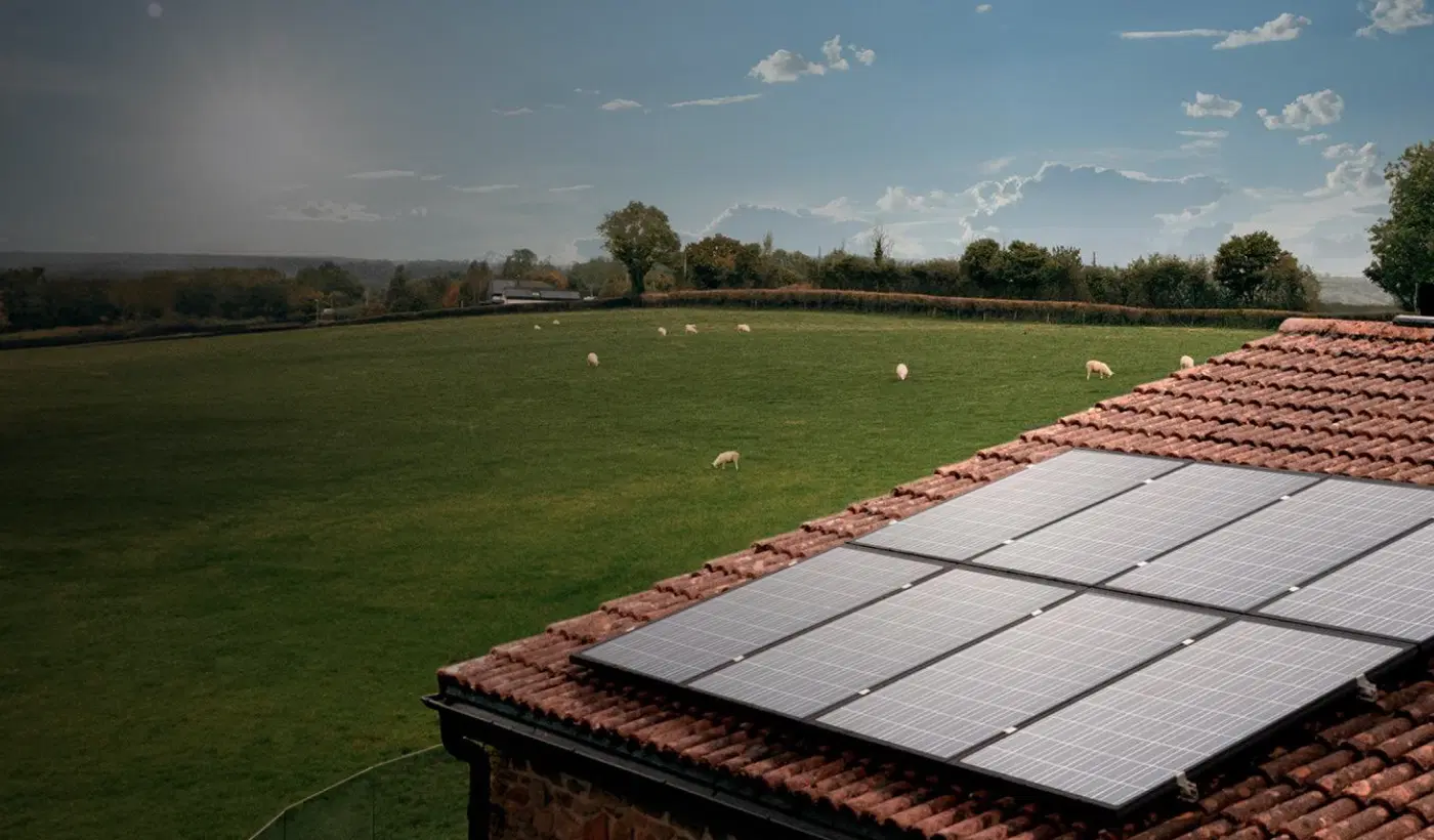 Hive Solar & Battery