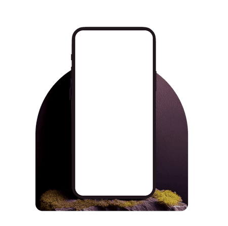 Image of a phone with a rock